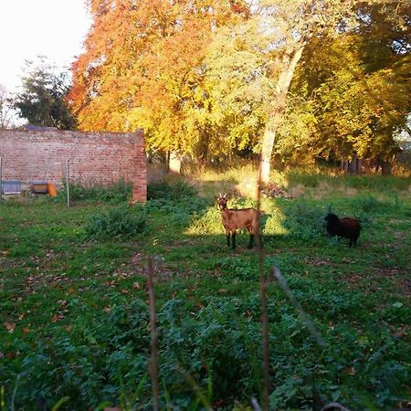 Le Jardin Des Ecureuils Hotel Demuin Buitenkant foto
