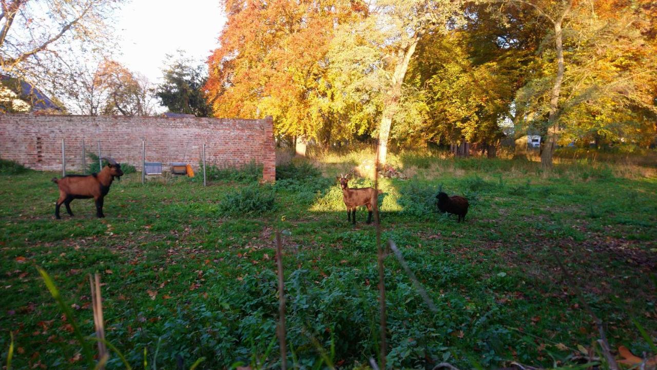 Le Jardin Des Ecureuils Hotel Demuin Buitenkant foto