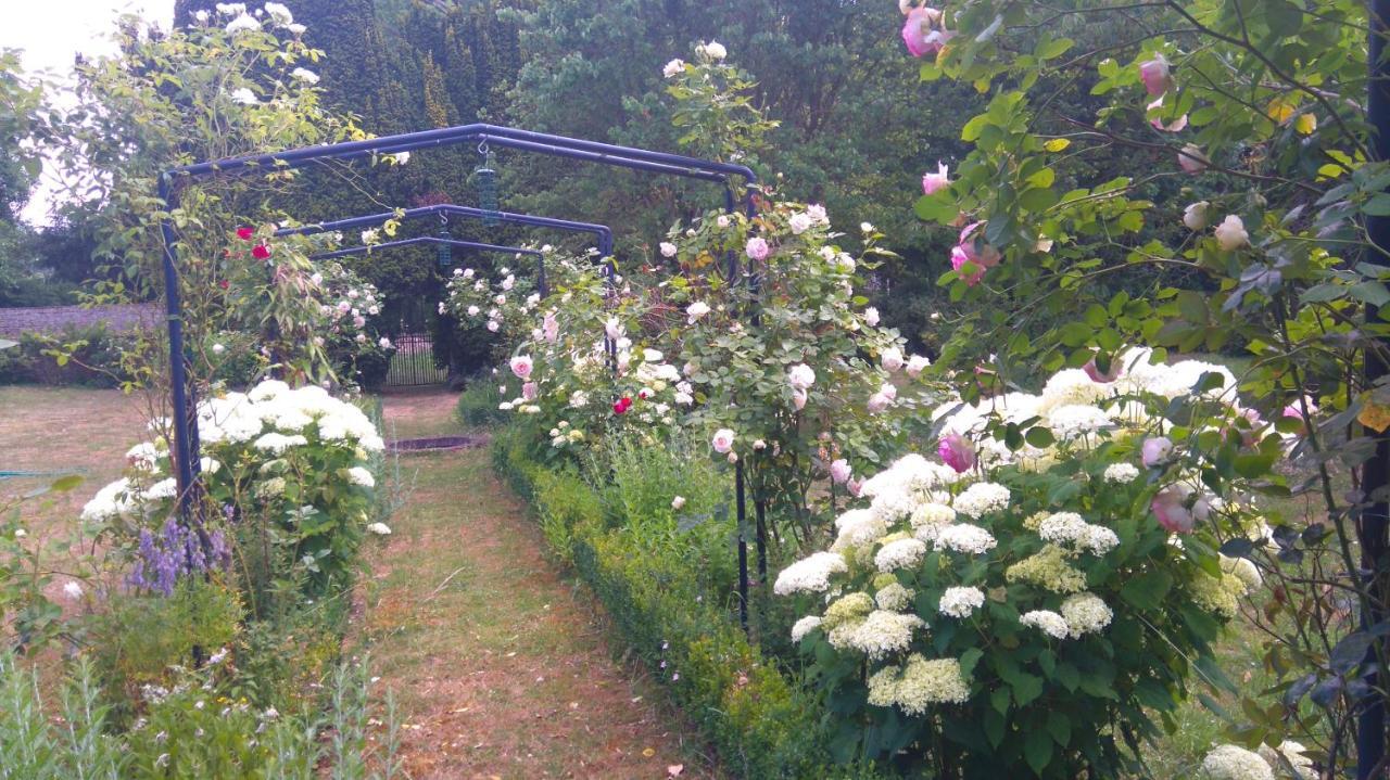 Le Jardin Des Ecureuils Hotel Demuin Buitenkant foto