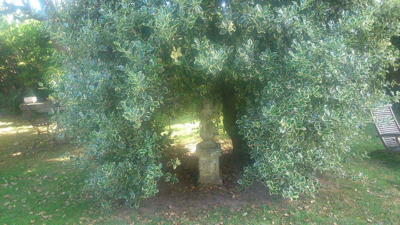 Le Jardin Des Ecureuils Hotel Demuin Buitenkant foto
